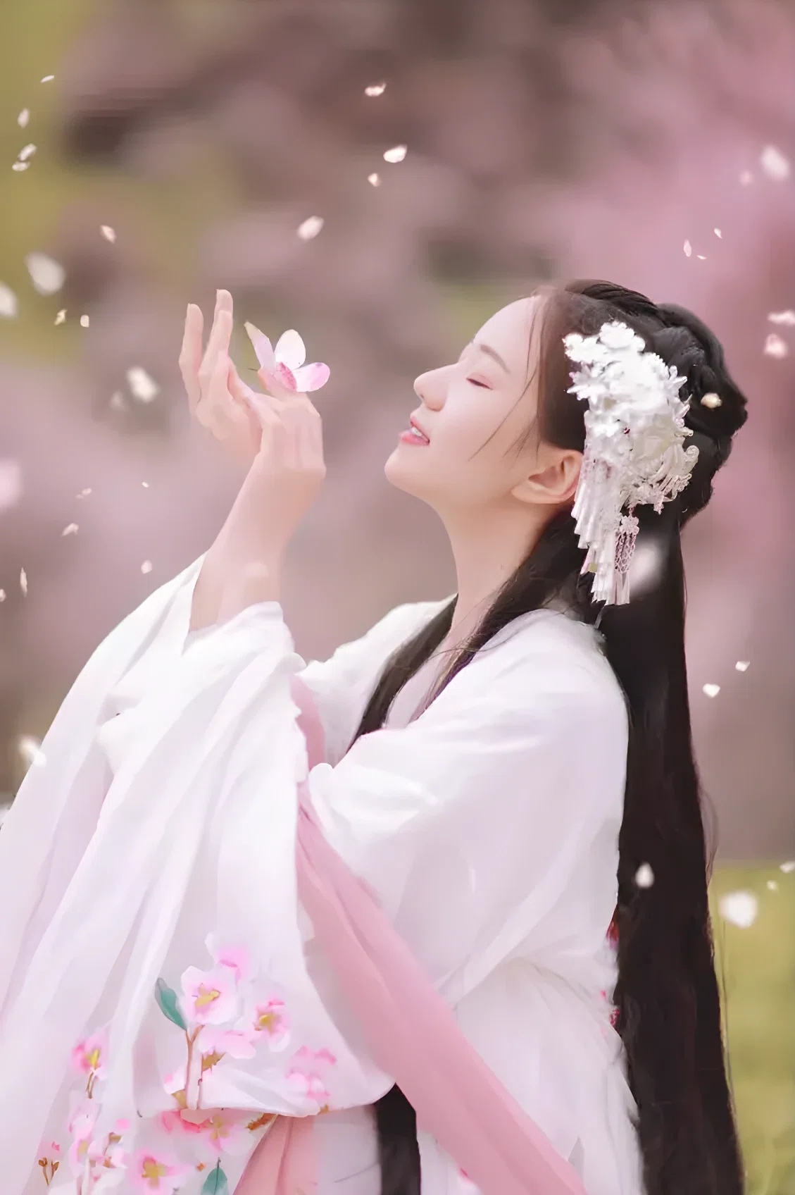 人面桃花.webp