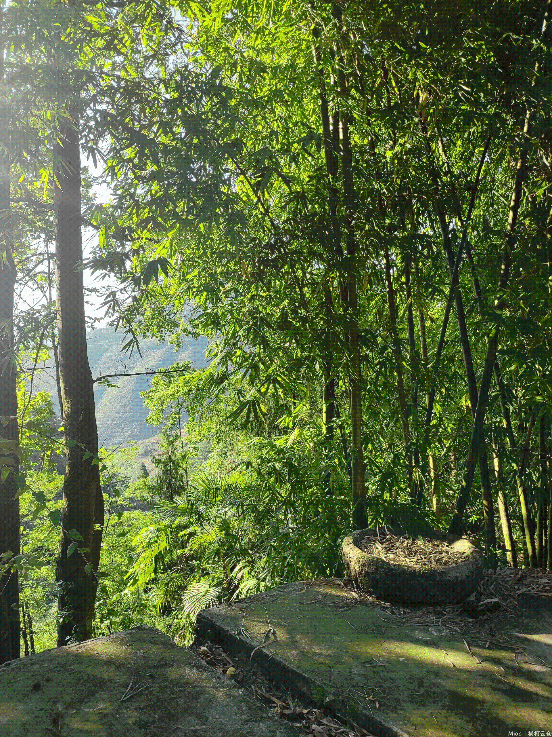 山林-青石.png