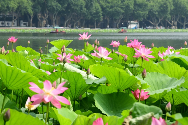 望海潮-2.jpeg