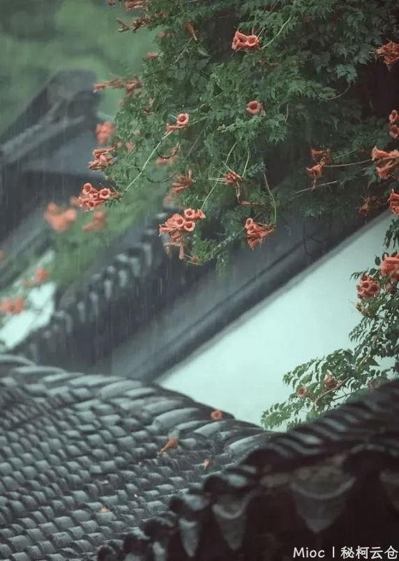 窗外雨.png