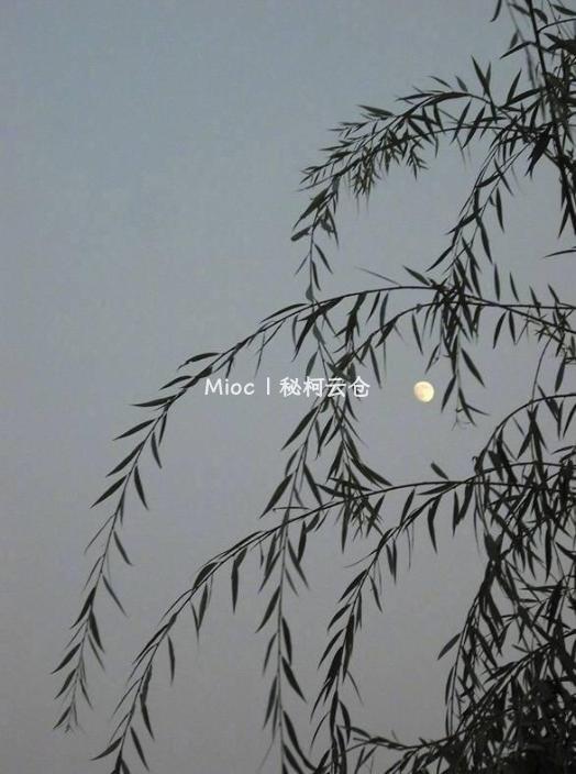 缺月.jpg