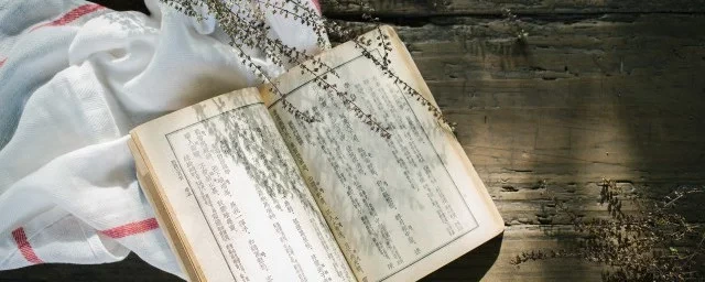衣书.webp