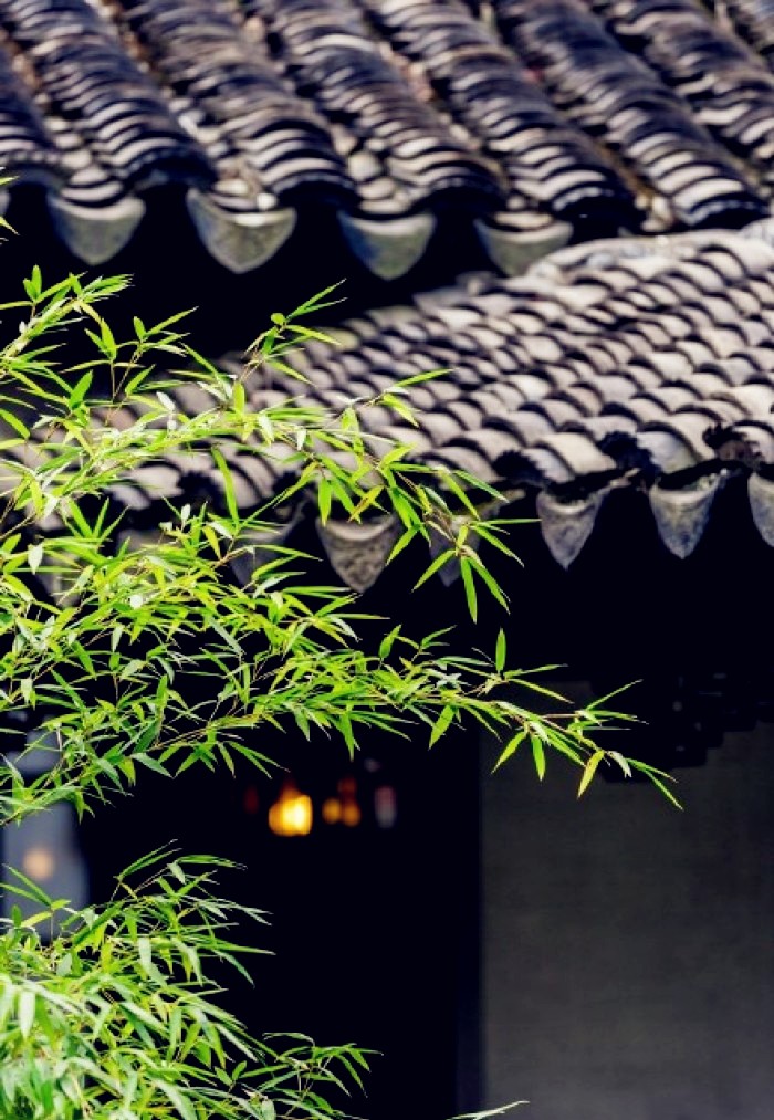 鹧鸪天·林断山明竹隐墙-院-竹.jpeg