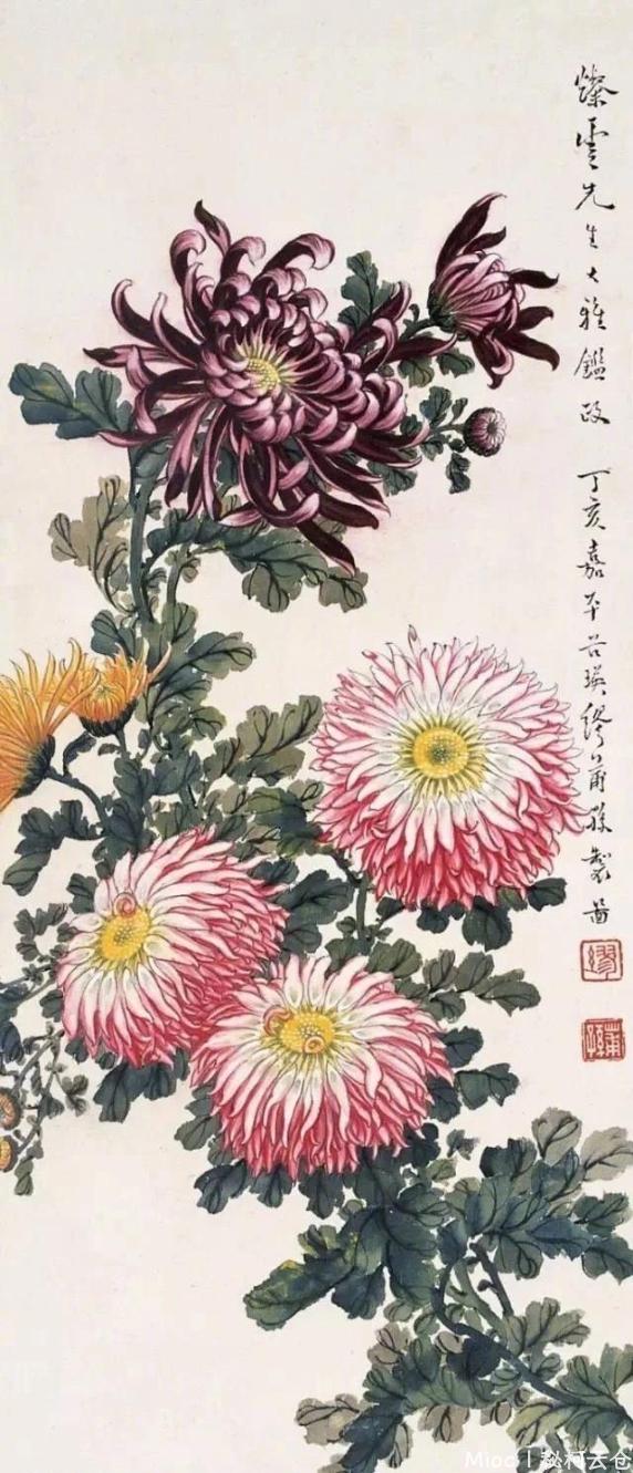 秋霜尽处有孤芳