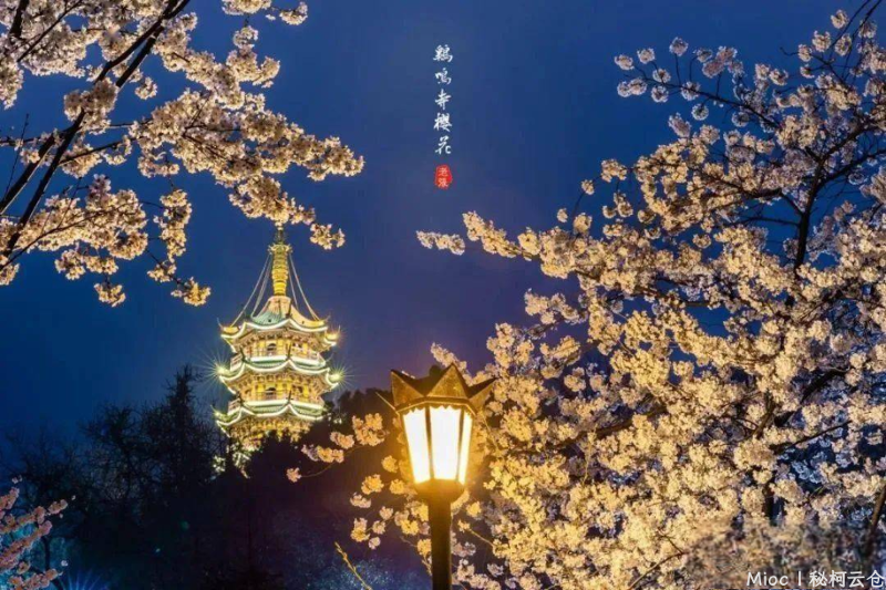 帘外寒雨湿故梦